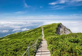 大山（だいせん）