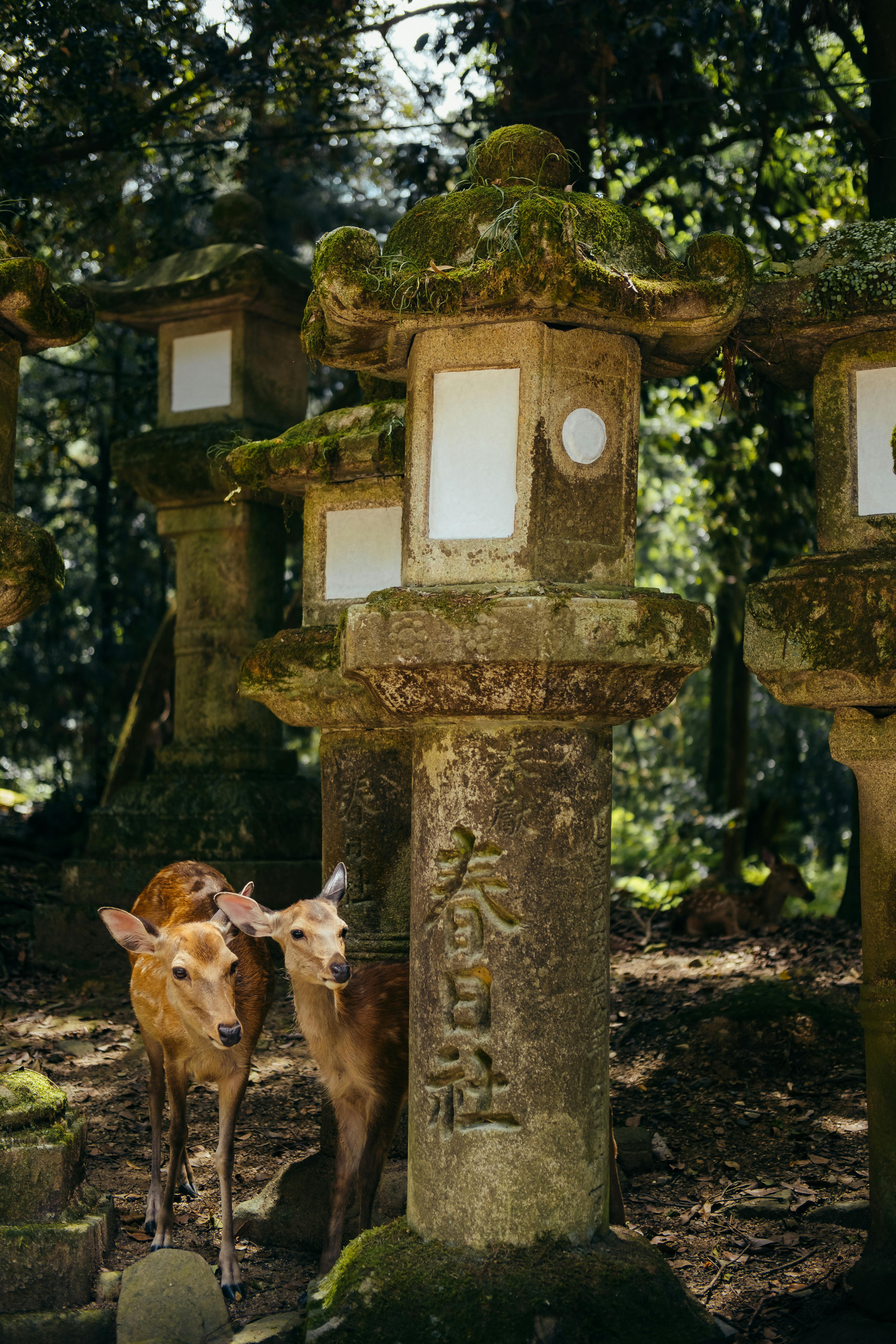 奈良県