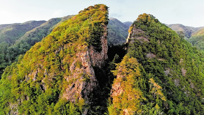 佐渡島の金山