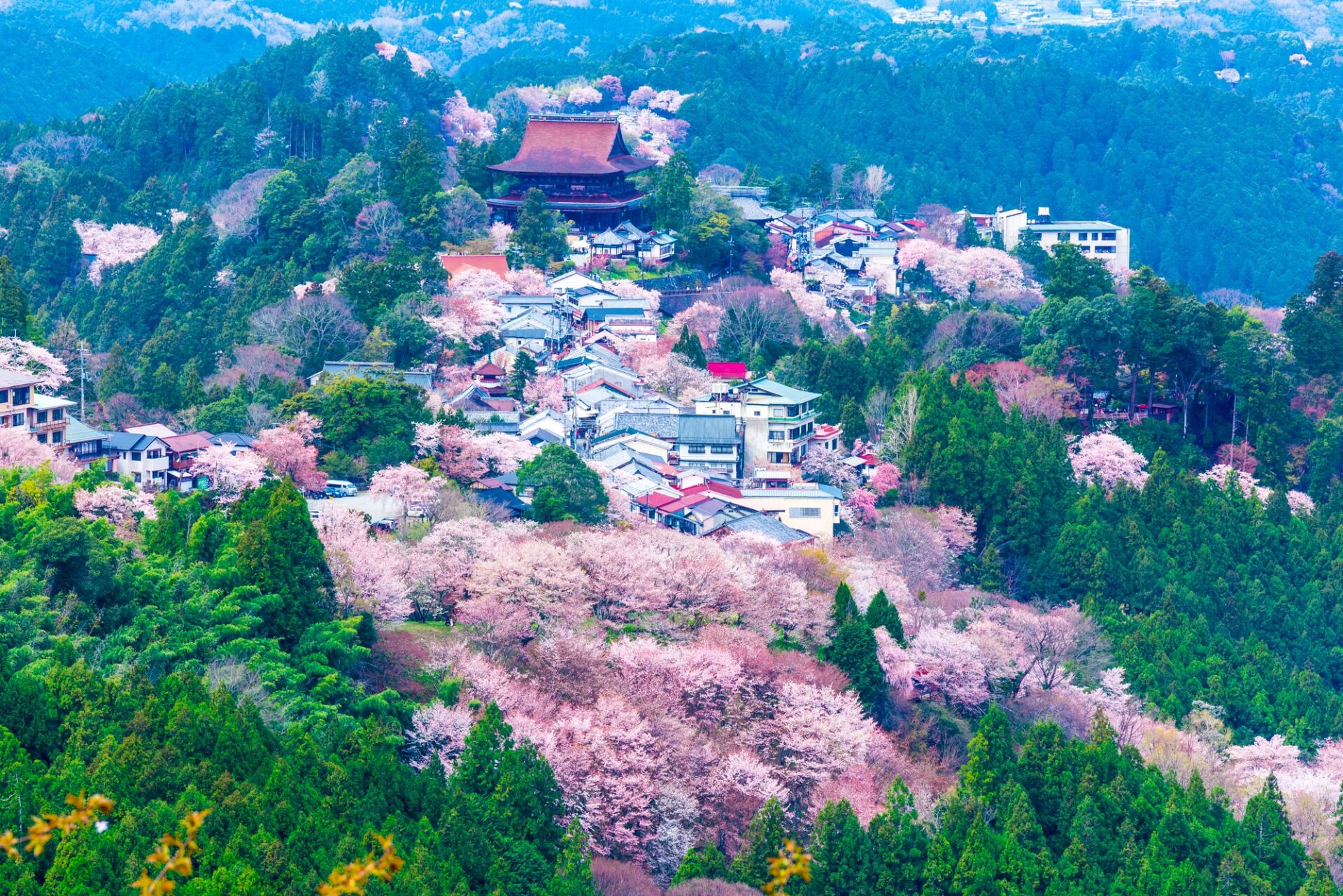 吉野山
